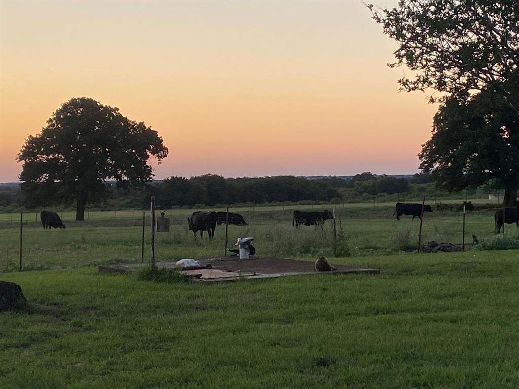 WILLIAMS - Residential