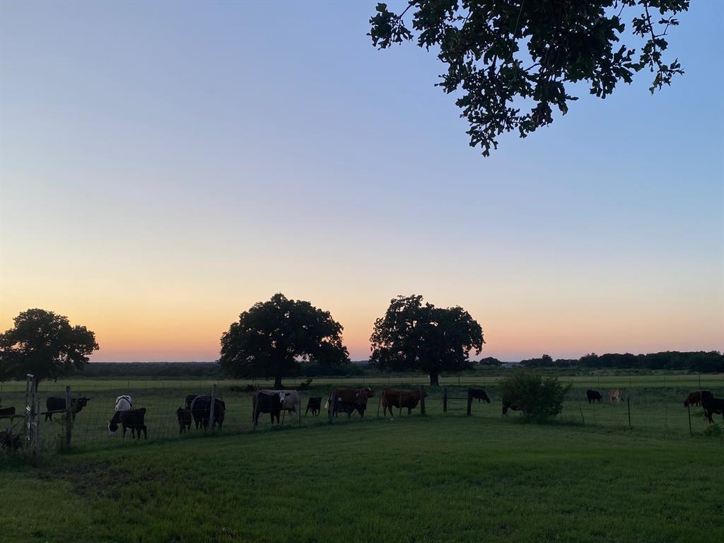 WILLIAMS - Residential