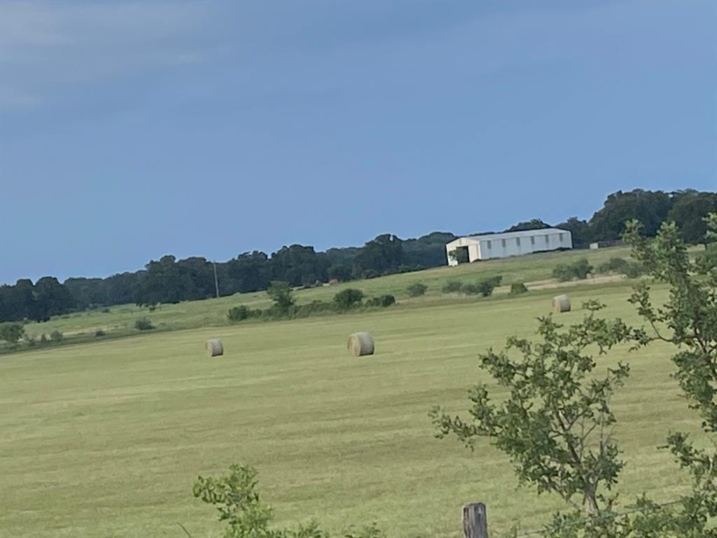 WILLIAMS - Residential