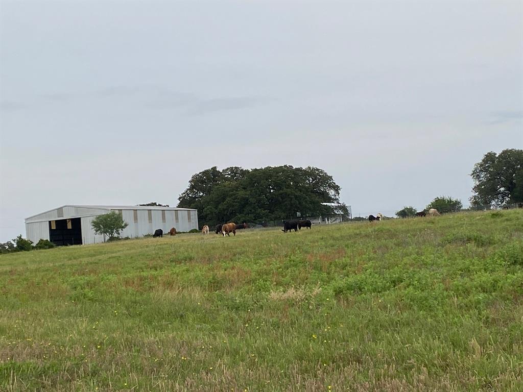 WILLIAMS - Residential