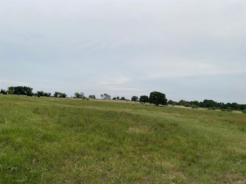 WILLIAMS - Residential