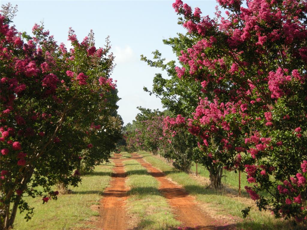 A0860 J SANDERS - Farm