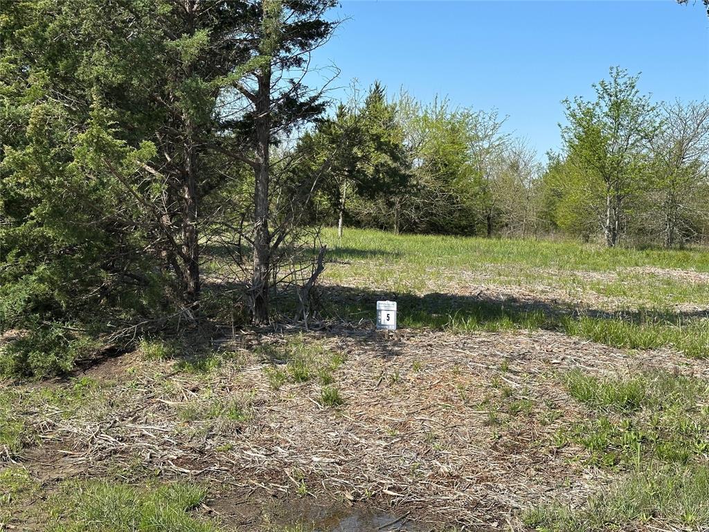 Tract 5 Farm to Market 1743