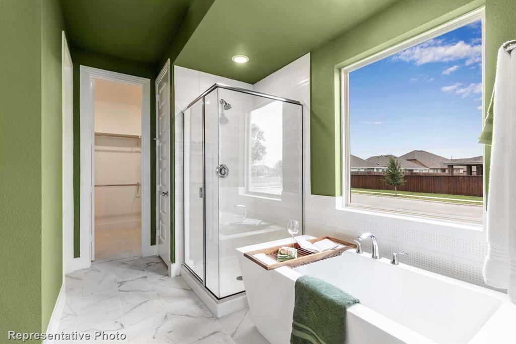 Painted Tree: 40ft. lots - Residential