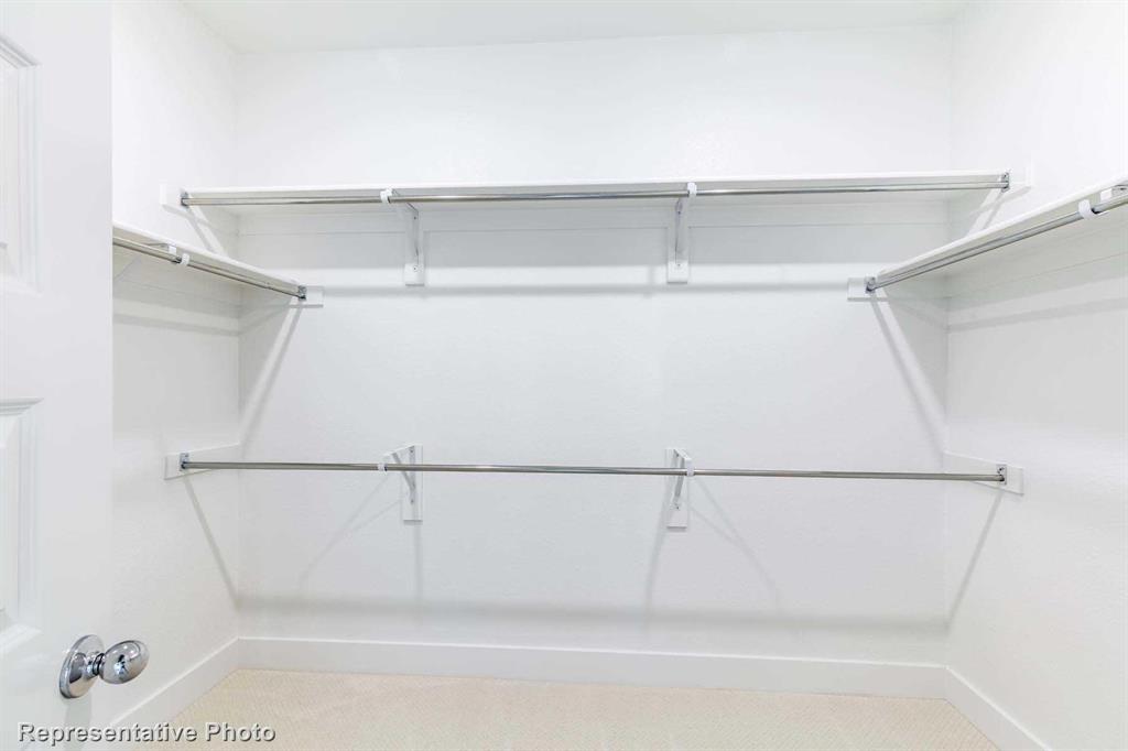 Painted Tree: 40ft. lots - Residential