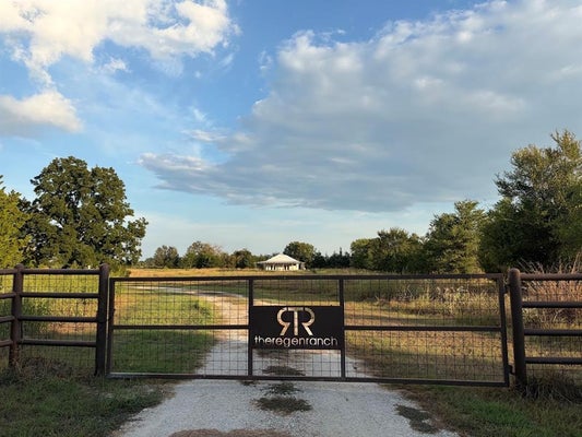 8698 COUNTY ROAD 239, OAKWOOD, TX 75855 - Image ae54d24197860cd0ef6e523a2f7204f3/24198040