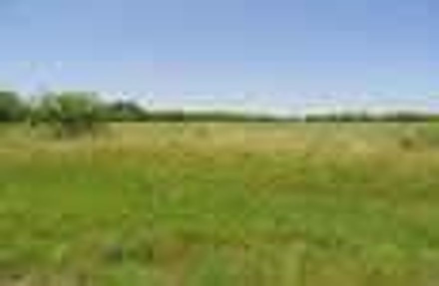 South Taylor County 98.08 acres currently in CRP with 2 acres of wheat for abundant wildlife. Perfect building site with oak, mesquite and hedge trees.