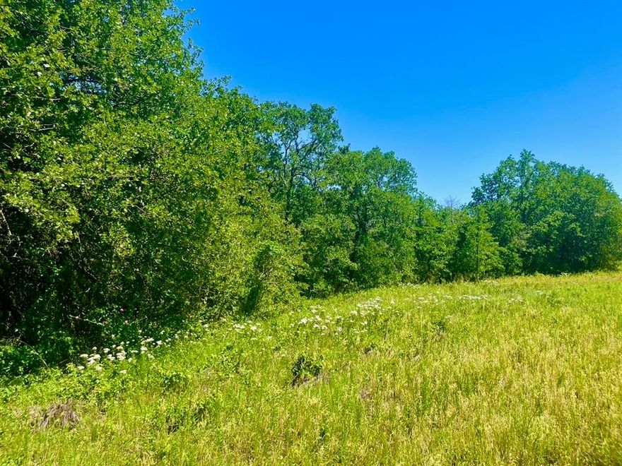 Don’t miss out on this incredible opportunity! Welcome to Sarra Ranch Estates, one of the newest communities offering 2–4 acre tracts. Enjoy stunning countryside views, with rolling terrain and large, mature oak trees that add character to every lot. Conveniently located near the new Ric Williamson Loop, Sarra Ranch provides easy access to the Metroplex. The community features underground electrical lines and high-speed fiber optic internet, perfect for your new home or shop. With sensible community guidelines in place, the beauty and luxury of the area are preserved. Choose from our handpicked builders or bring your own, and build when you’re ready. Contact us today to schedule a private tour! Sarra Ranch Estates, located within the Poolville and Weatherford ISD. Barndominiums are not permitted. PHOTOS DISPLAYED ARE PHOTOS OF THE ENTIRE DEVELOPMENT NOT INDIVIDUAL LOTS