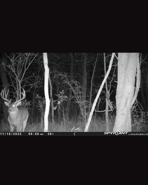 Drury Angelin 15 Labor Surv Ab - Residential