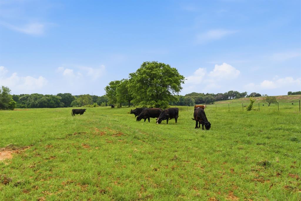 10501 Mitchell Bend Court