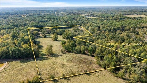 Photo of 800 FM 312, Winnsboro, TX 75494 (MLS # 21419166)