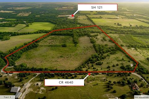 TBD 84.61 ACRES Tract 3 CR 4640 Trenton TX 75490