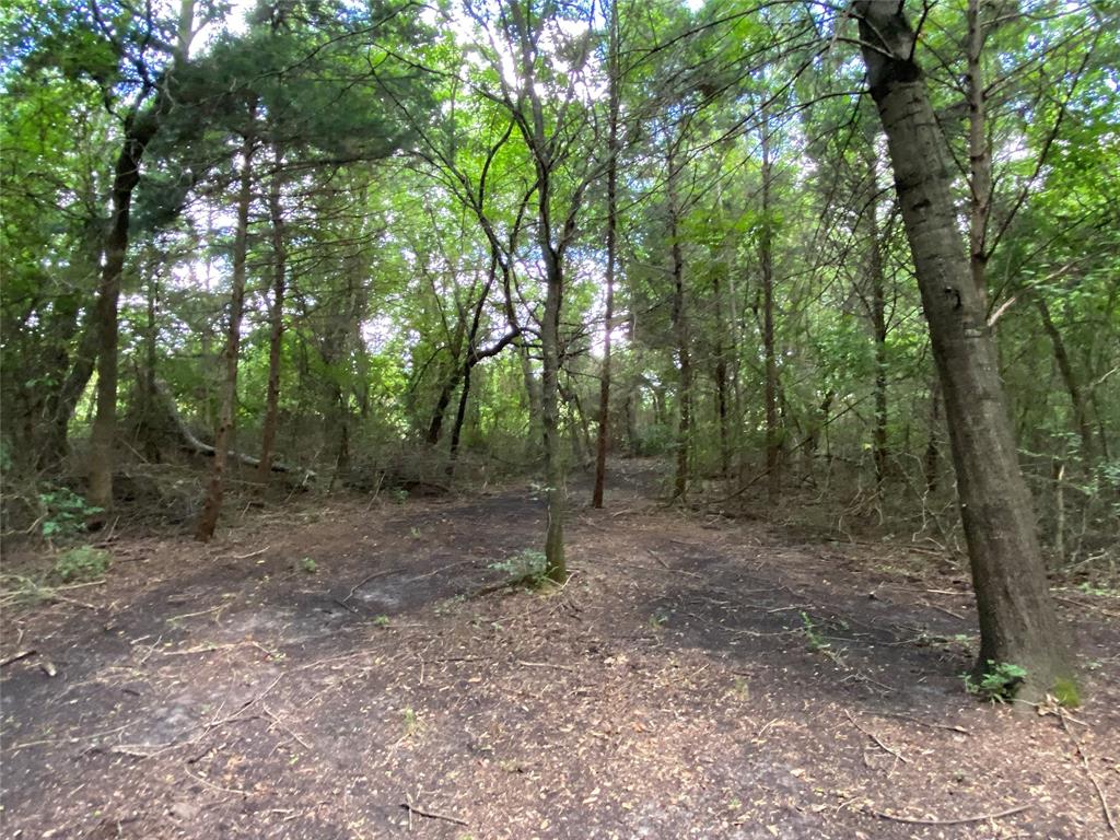 Maina Estates - Residential