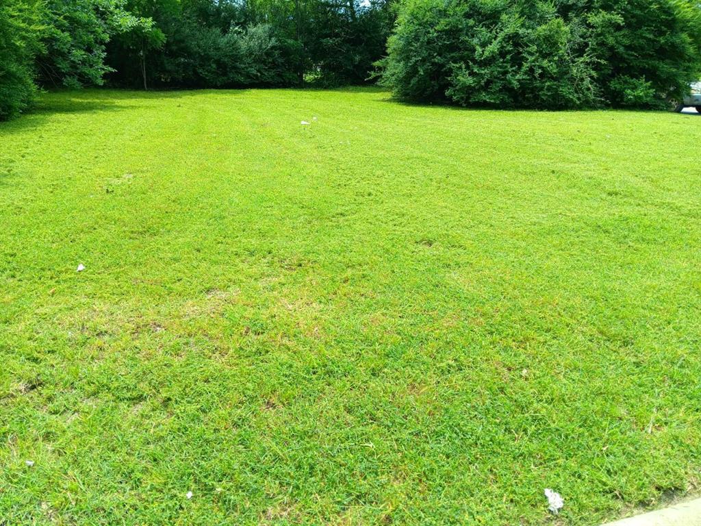 10202 Elam Road