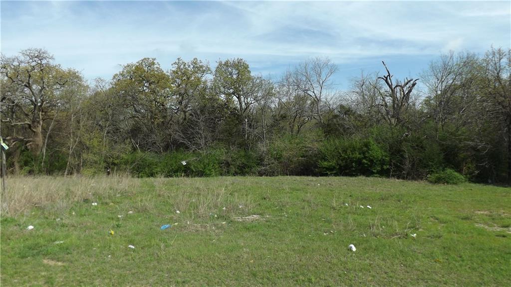 Mirror Lake Forests - Land