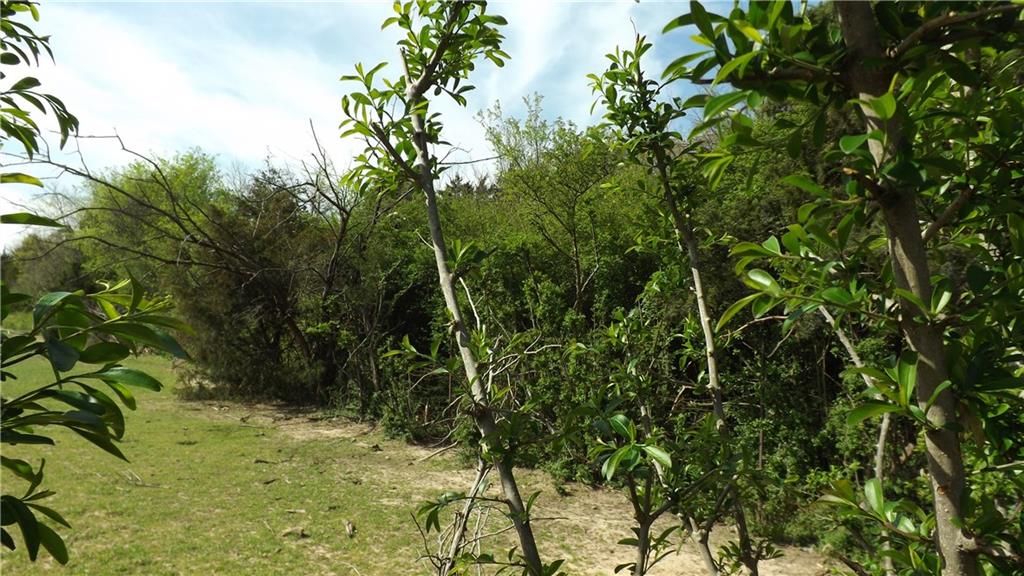 Mirror Lake Forests - Land