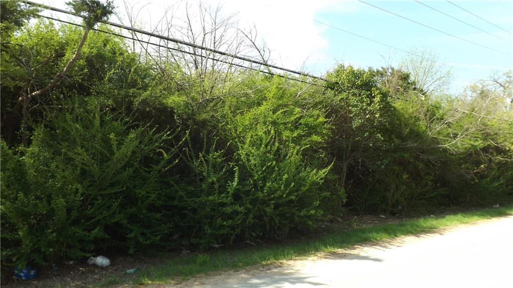 Mirror Lake Forests - Land