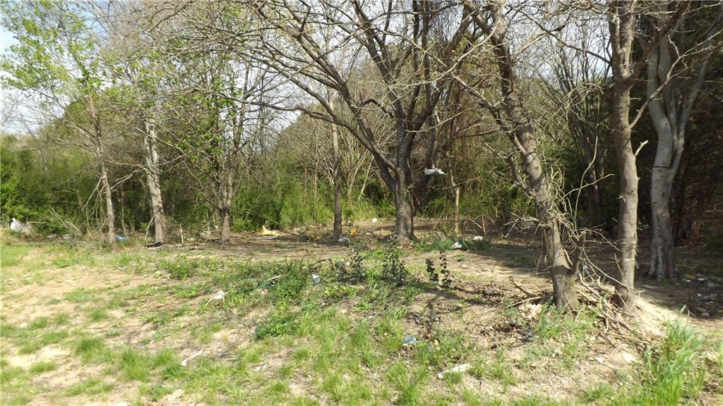 Mirror Lake Forests - Land