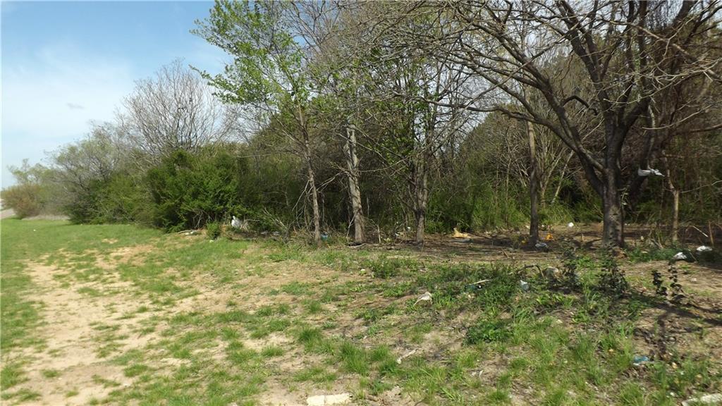 Mirror Lake Forests - Land