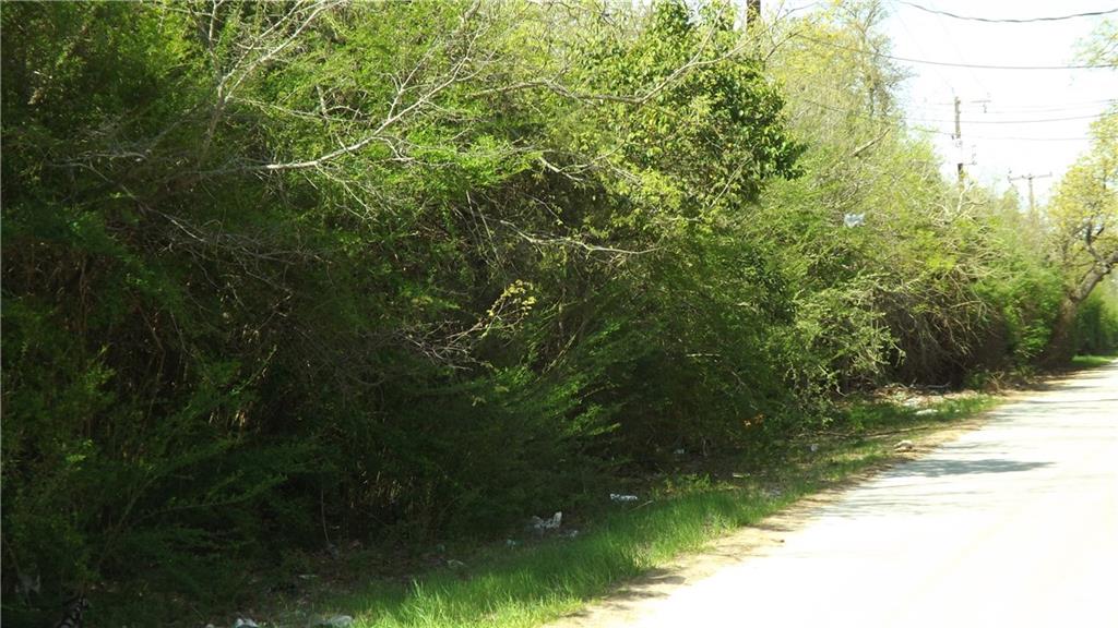 Mirror Lake Forests - Land