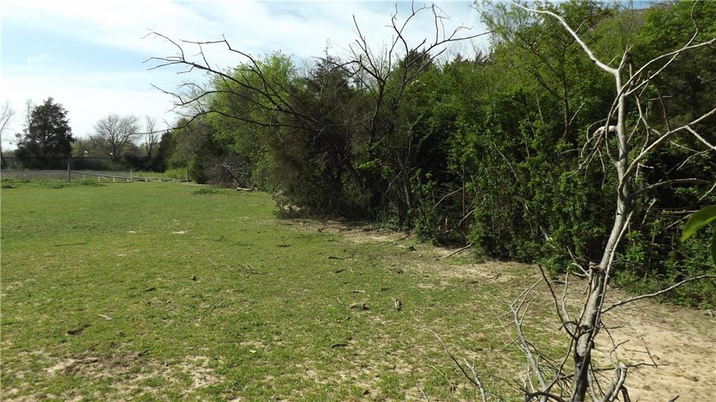Mirror Lake Forests - Land