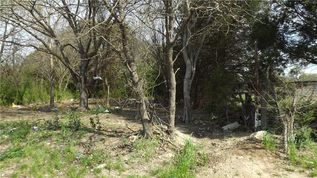 Mirror Lake Forests - Land