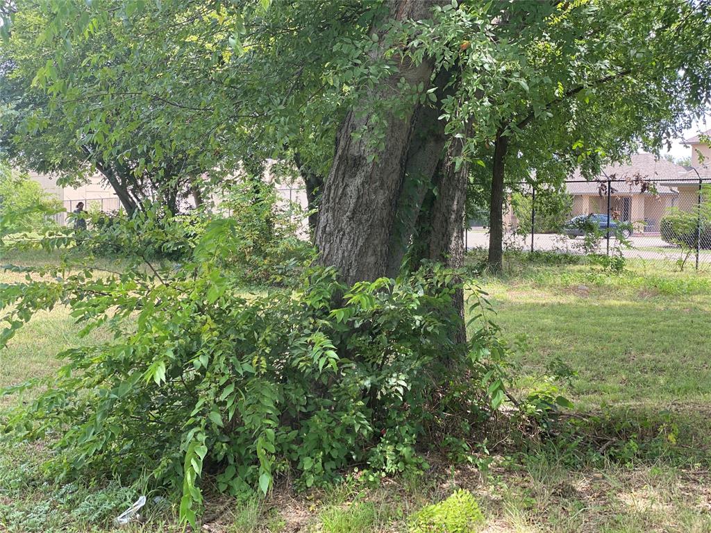 JACOB AND BABY - Land