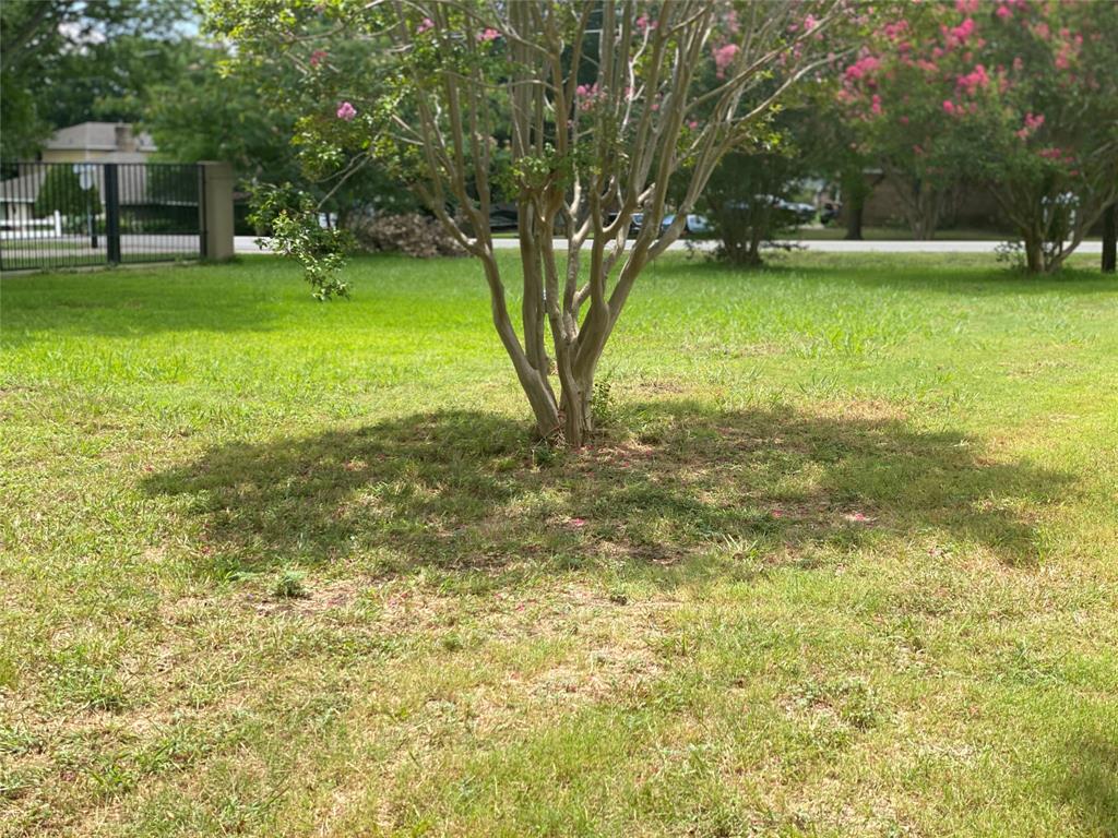 JACOB AND BABY - Land