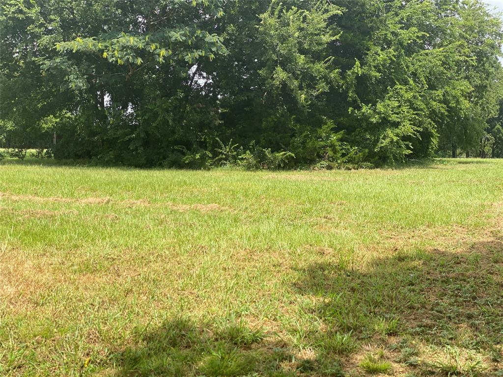 JACOB AND BABY - Land