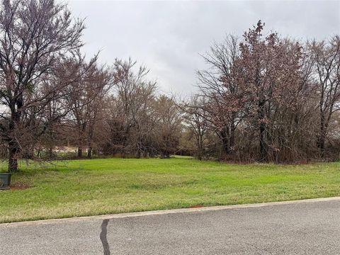 126 Roaring Fork Circle Gordonville TX 76245