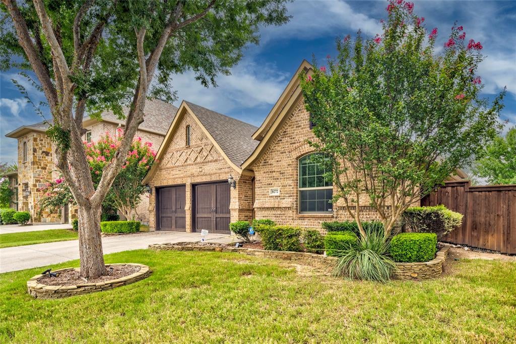 8272 Haltered Horse Lane