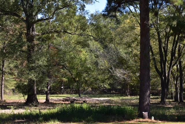 Keithville, Louisiana 71047, United States, 3 Bedrooms Bedrooms, ,2 BathroomsBathrooms,Residential,Active,228520