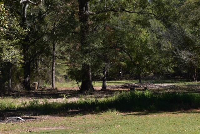 Keithville, Louisiana 71047, United States, 3 Bedrooms Bedrooms, ,2 BathroomsBathrooms,Residential,Active,228520