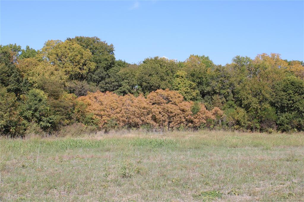 A00558 WM C Ingram - Land