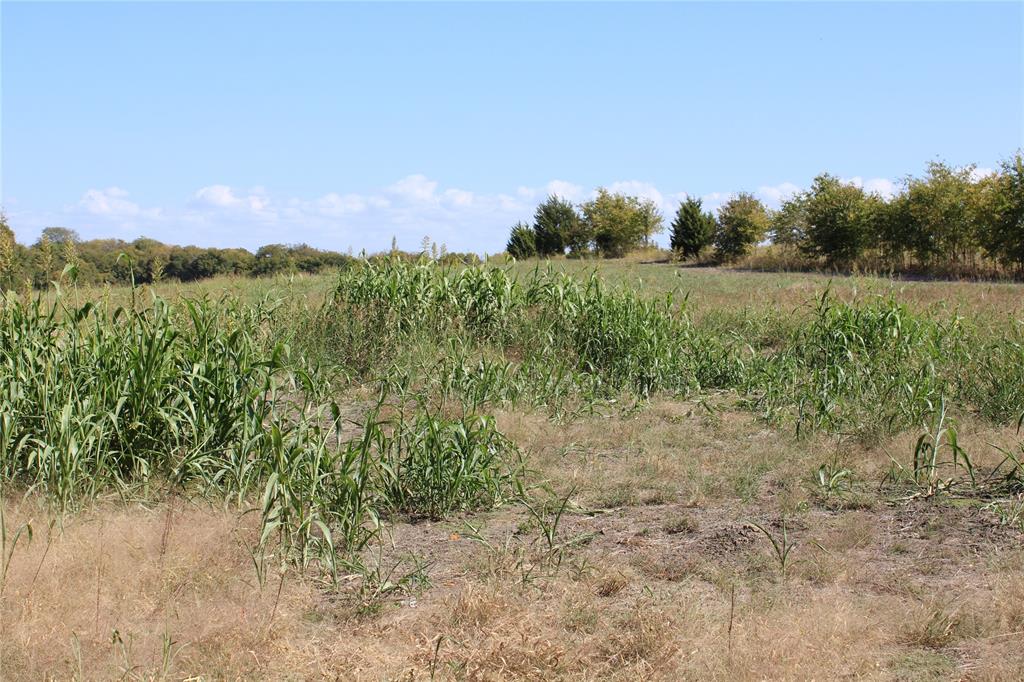 A00558 WM C Ingram - Land