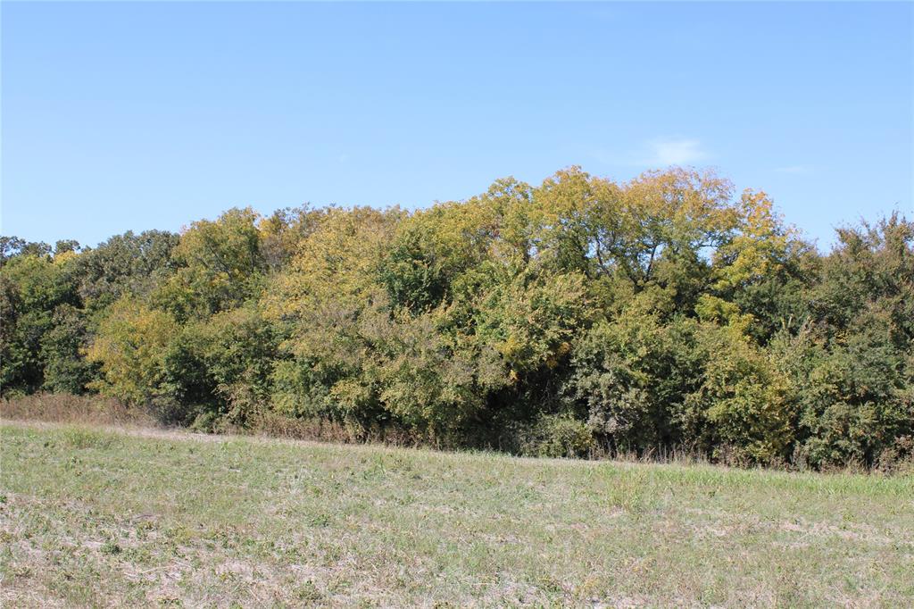 A00558 WM C Ingram - Land