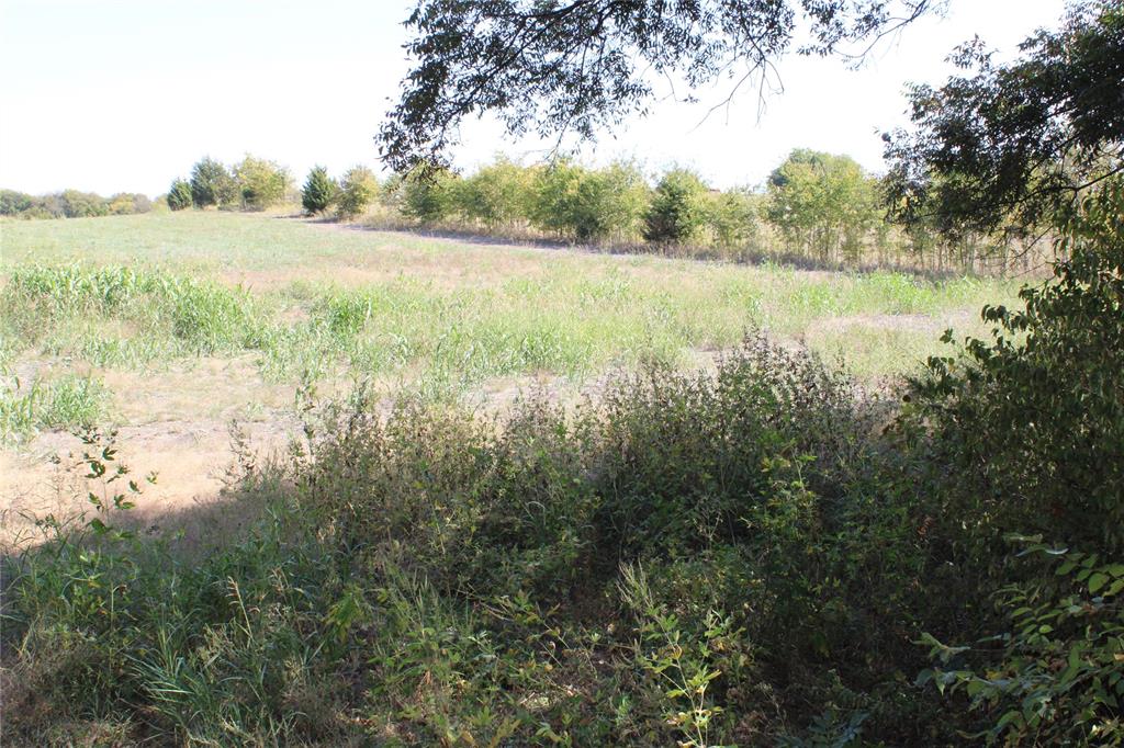 A00558 WM C Ingram - Land