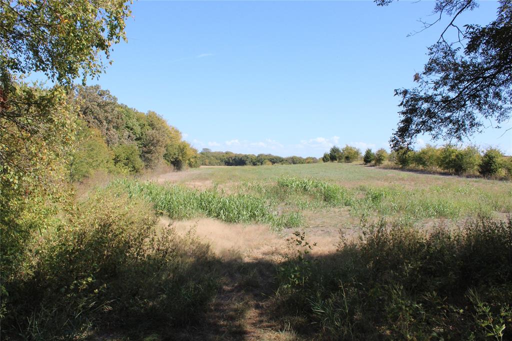 A00558 WM C Ingram - Land