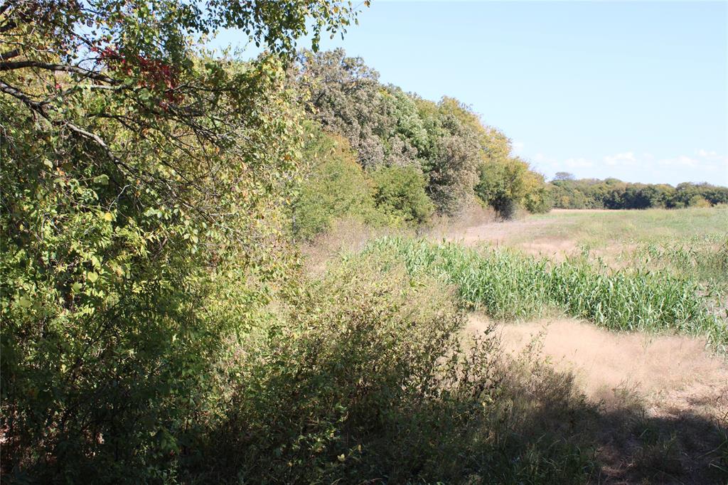 A00558 WM C Ingram - Land