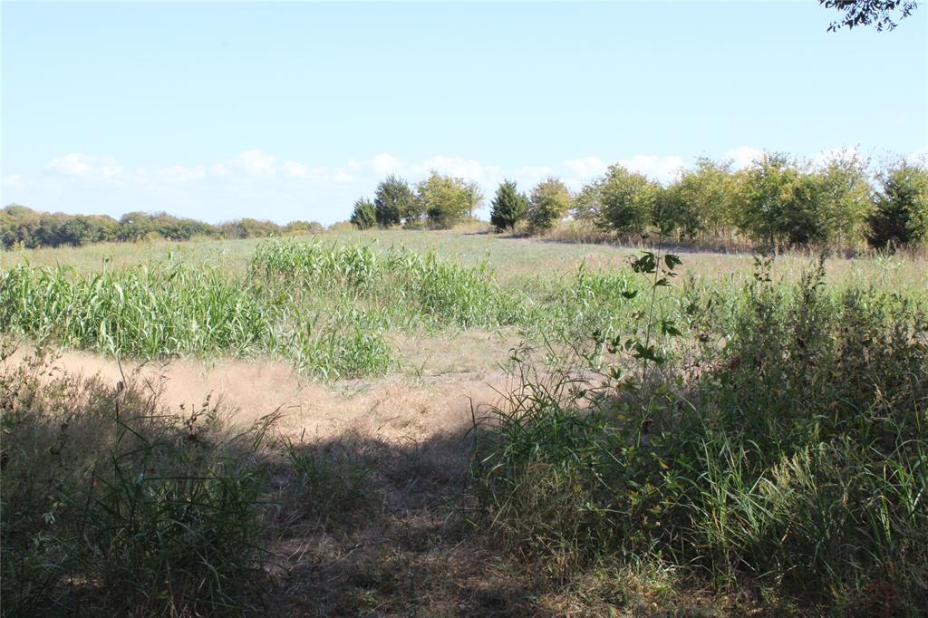 A00558 WM C Ingram - Land