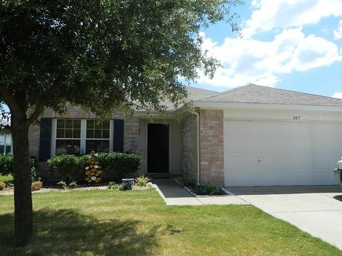 Photo of 907 Live Oak Drive, Anna, TX 75409 (MLS # 21252859)