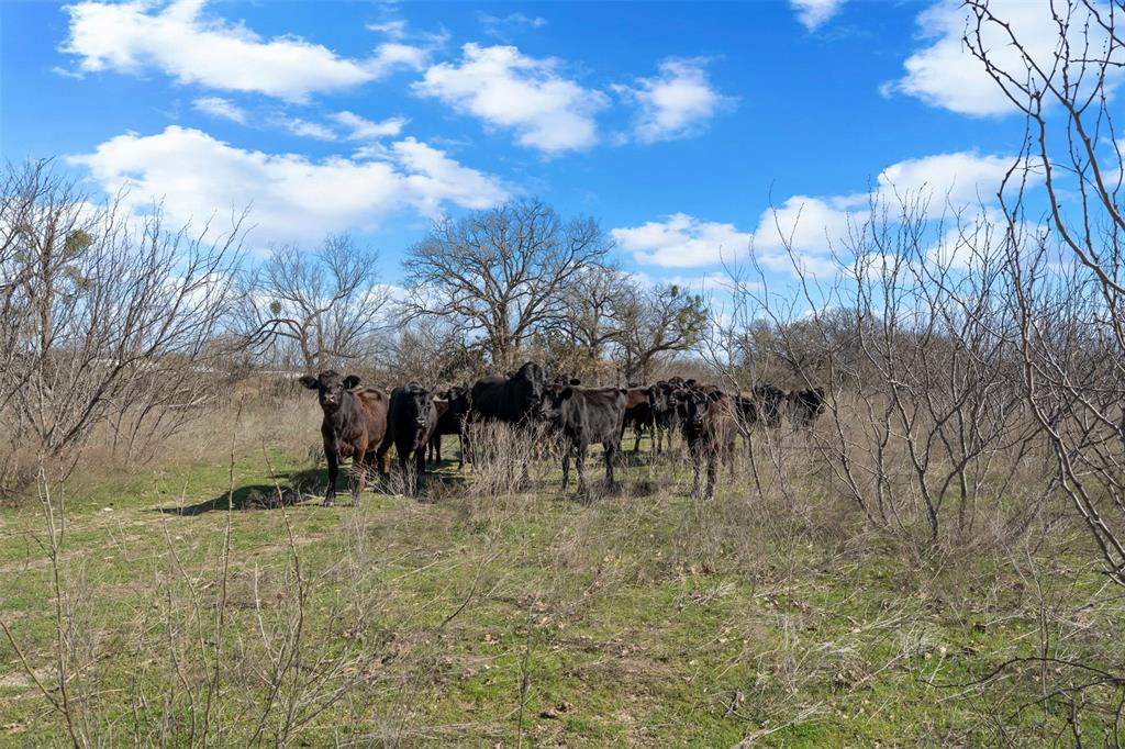 Non-applicable - Land