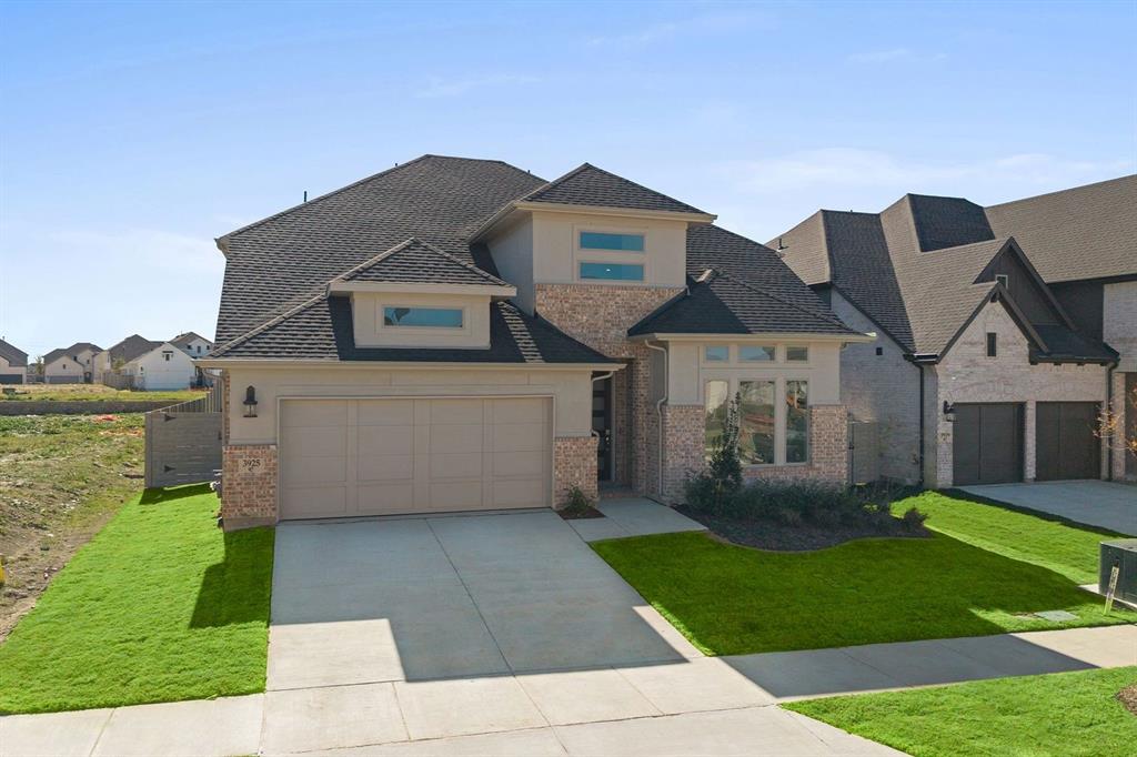 Painted Tree - Residential