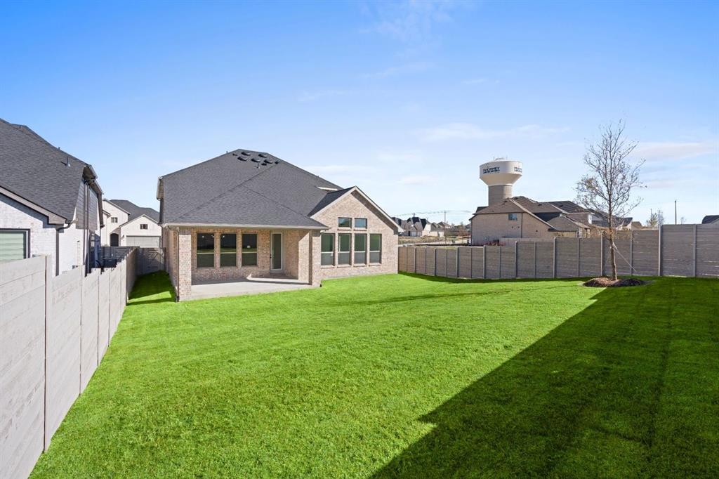 Painted Tree - Residential