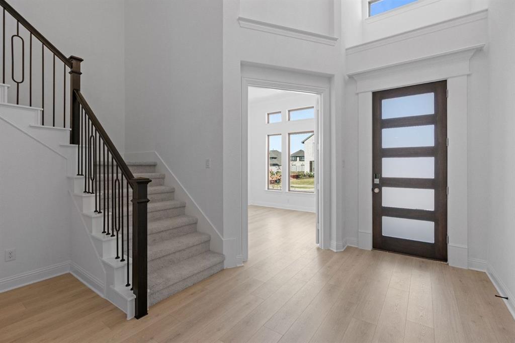 Painted Tree - Residential