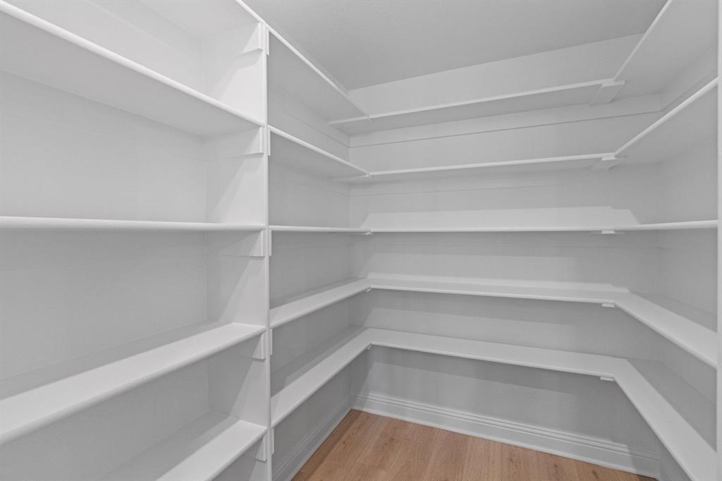 Painted Tree - Residential