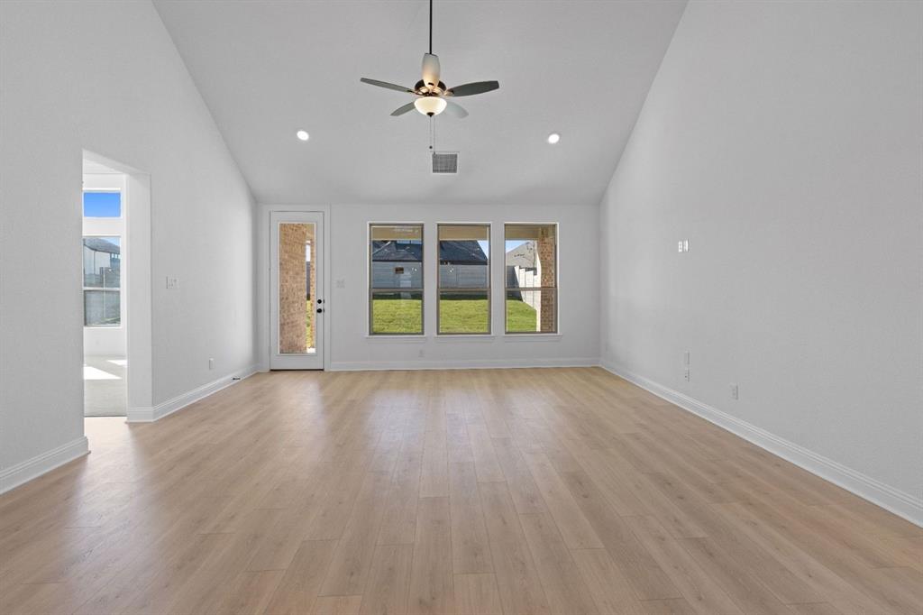 Painted Tree - Residential