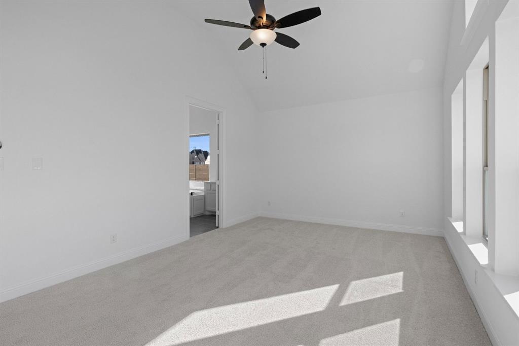 Painted Tree - Residential