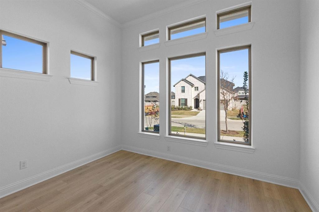 Painted Tree - Residential