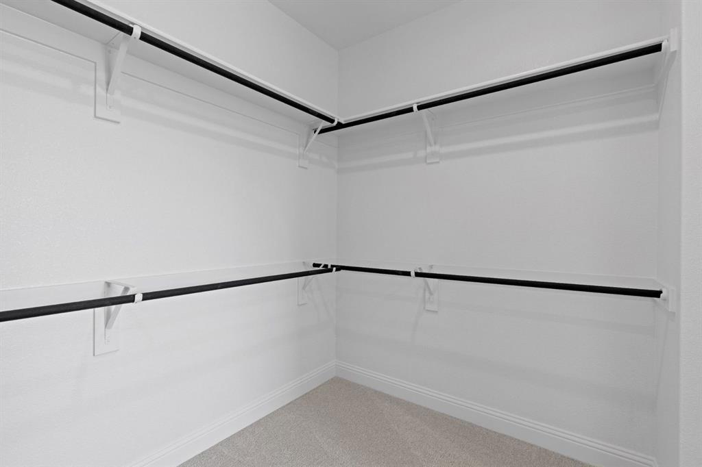 Painted Tree - Residential